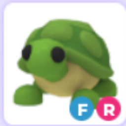 Adopt Me - Turtle FR, picture 1