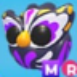 Adopt Me - Mr Grave Owl, picture 1