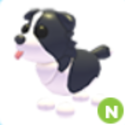 Adopt Me N Border Collie - Delivered by Partner Seller, picture 1