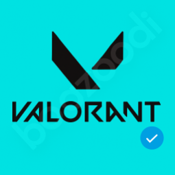 Valorant LATAM Smurf Account - Level 10, No Bans, Clean History, PC, picture 1