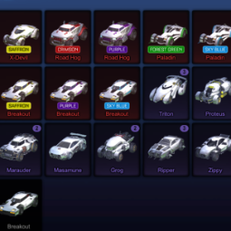 Rocket League Epic Games Account with Dominus, Endo and TW Standard Boost, picture 5