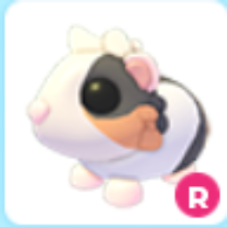 Adopt Me R Tortoiseshell Guinea Pig, picture 1